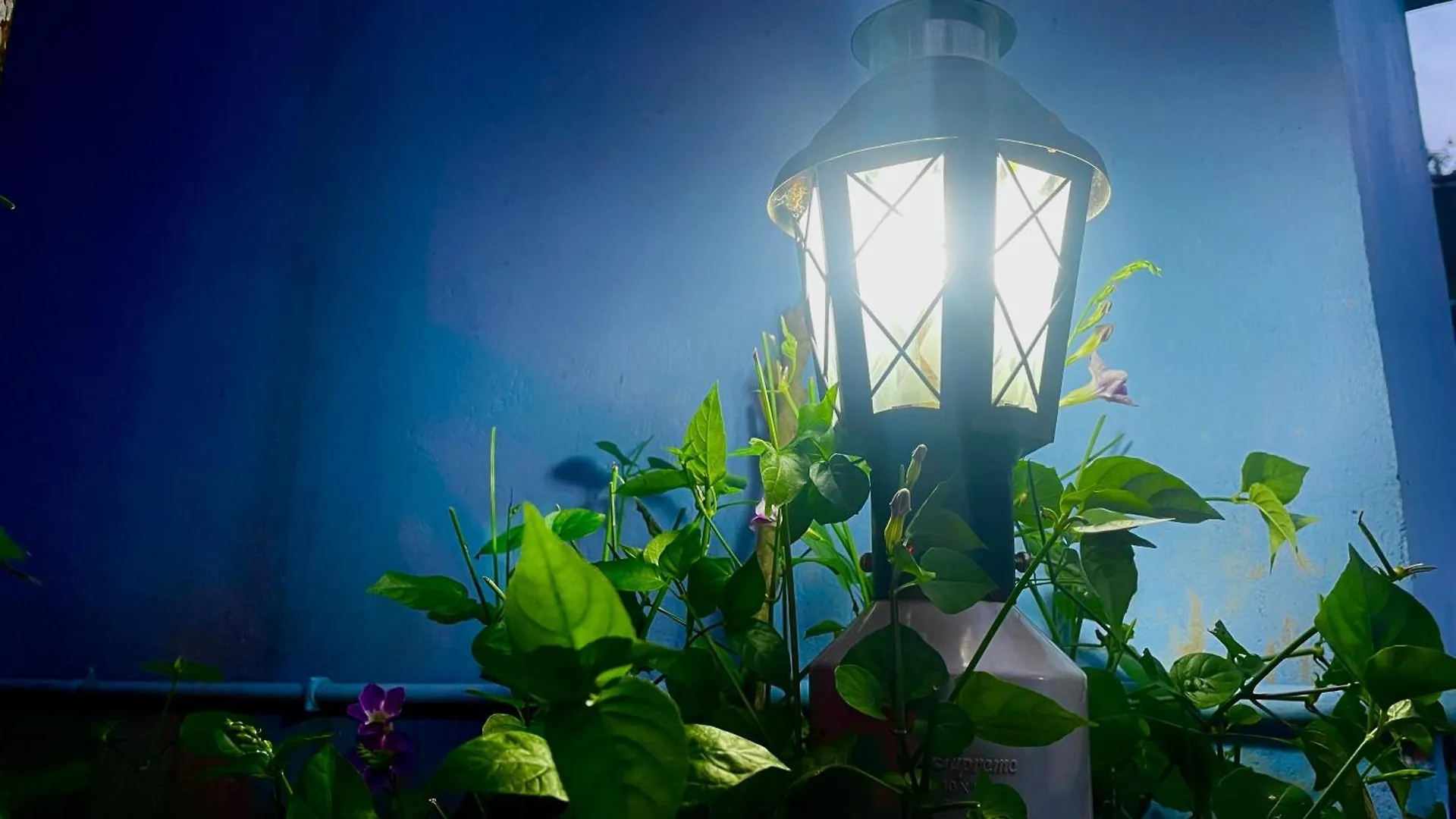 Δωμάτια σε οικογενειακή κατοικία Green Home Wayanad