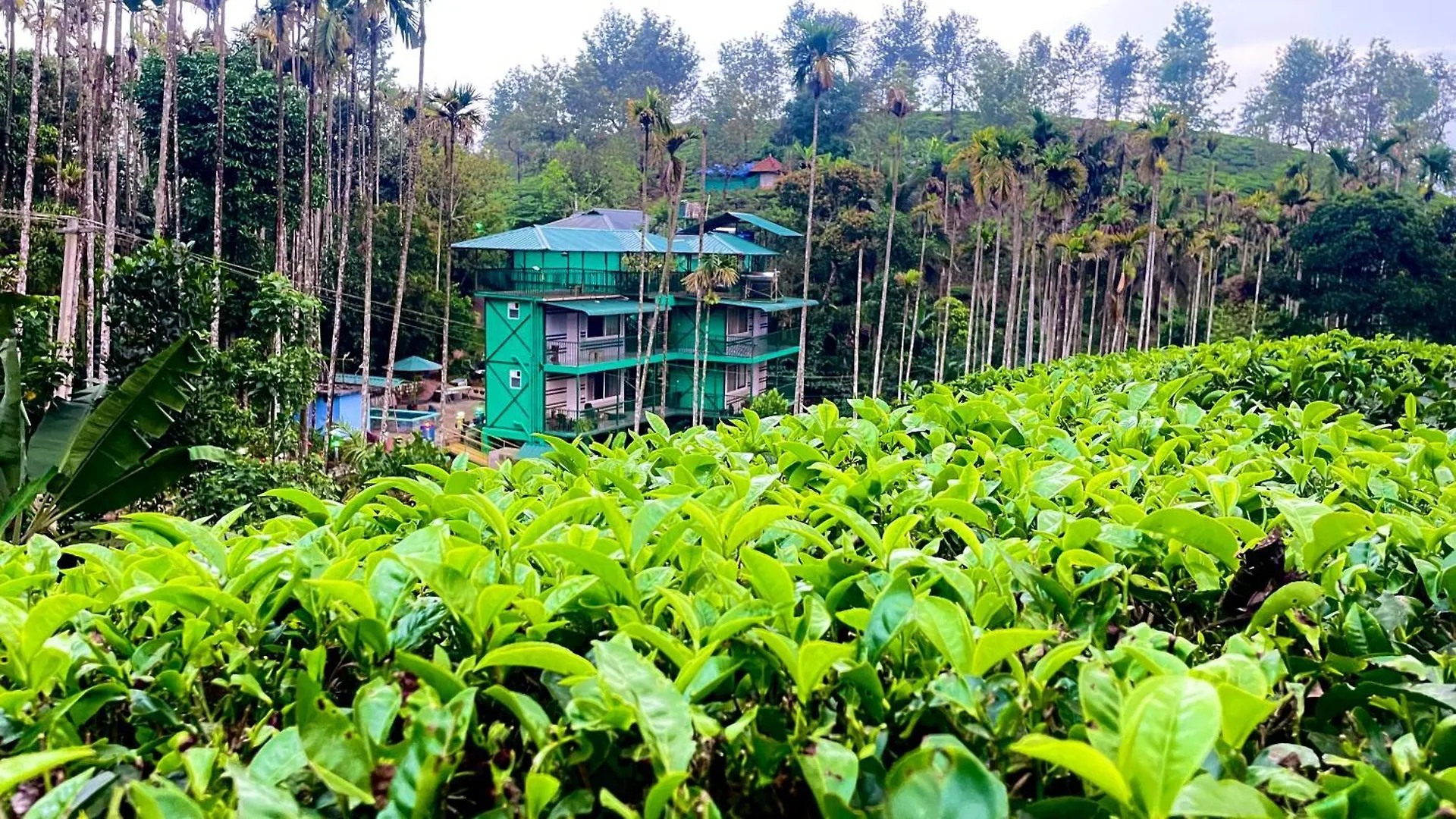 Green Home Wayanad