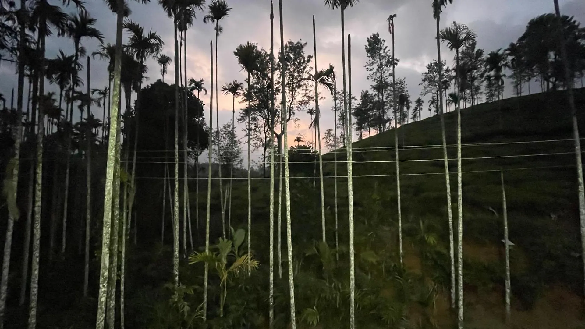 Green Home Wayanad